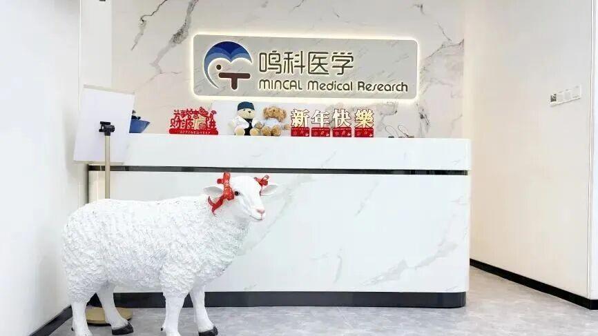 从投资人到创业者，沈磊的悄悄转身……