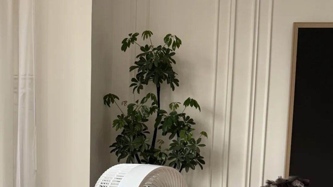 买前瞧不上，用后离不开！媳妇坚持要买的5个家电，幸福感爆棚