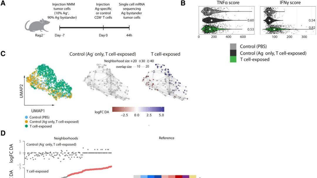 Cancer Cell：首证IFN-γ才是肿瘤免疫微环境“主宰者”