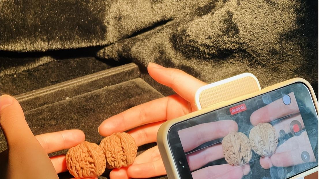 河北涞水：共享直播间“云”端出海 小核桃撬动跨境大市场