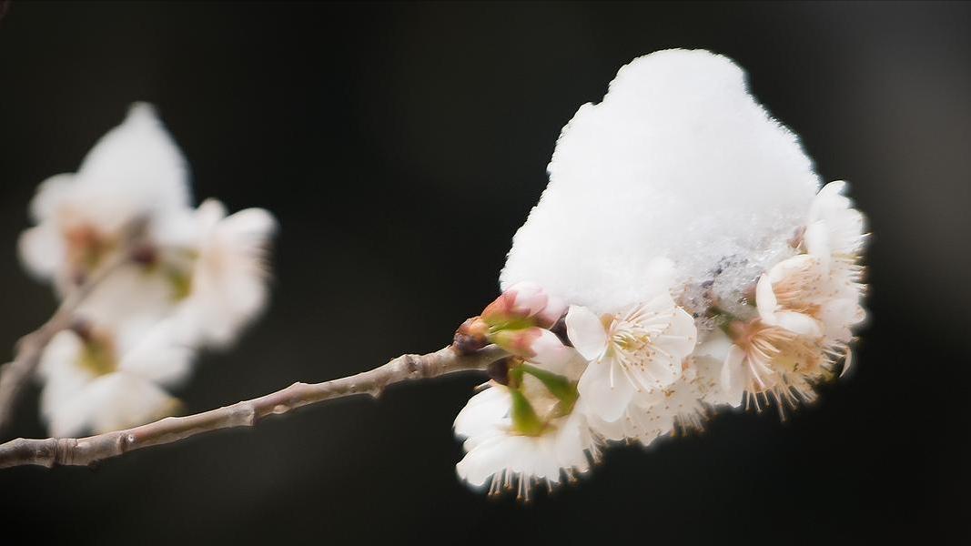 10年牢狱苦和恨，放下纠结不内耗，就靠这6个字