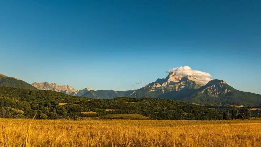 格力海信激战空调真铜实料为什么?