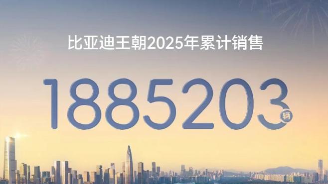 比亚迪的2025：狂飙的销量、进击的技术与全球市场的远征