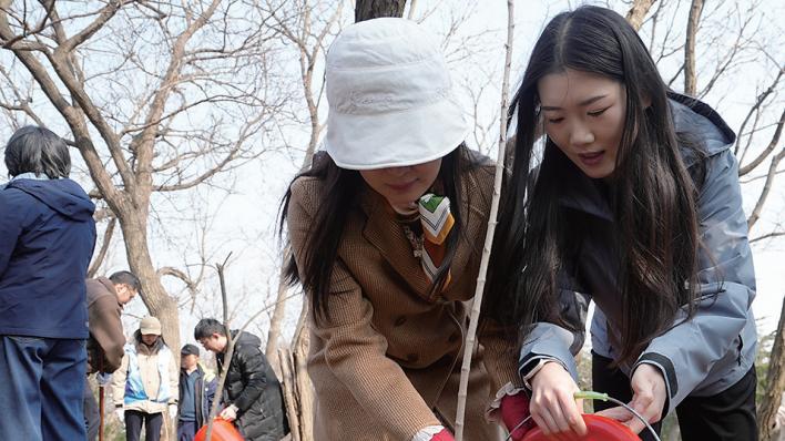 青岛：全民履“植”，绘就公园城市底色