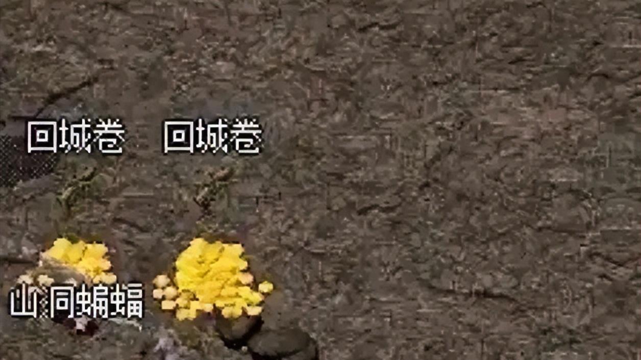 热血传奇：浅析资源获取的特别方式！这个小怪是重要对象！