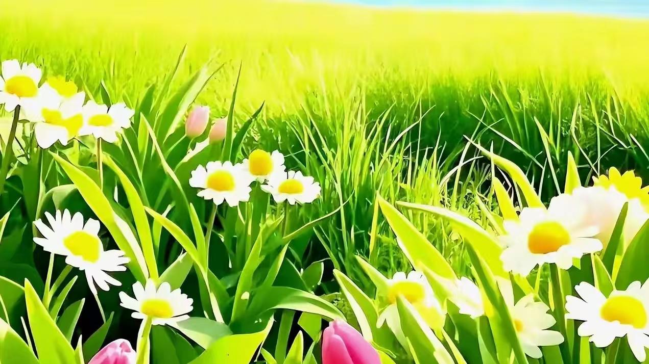 第一次胎心监护，一次过！