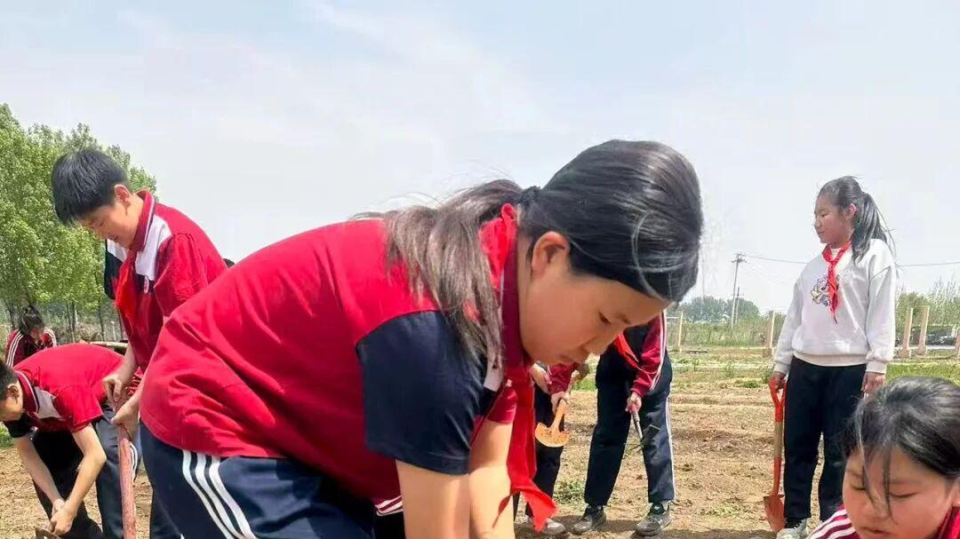 躬耕田园，不负时光。北京市博文学校小学部劳动种植实践活动纪实