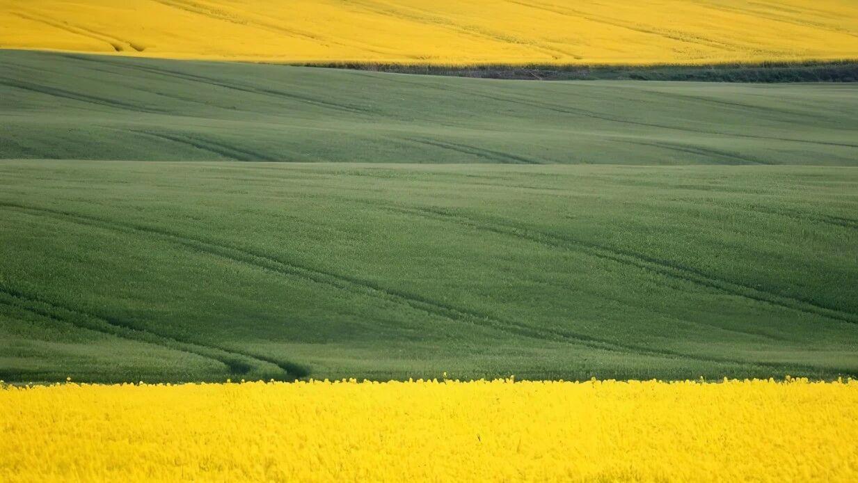学会“取舍思维”，放弃无用内耗，聚焦核心成长（思维痛点：贪多求全、精力分散）