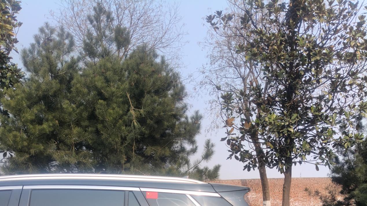 1月再见，2月你好，新年新气象，当然从美食开始了