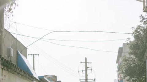 家庭聊天术：晚餐桌上的对话如何塑造思维