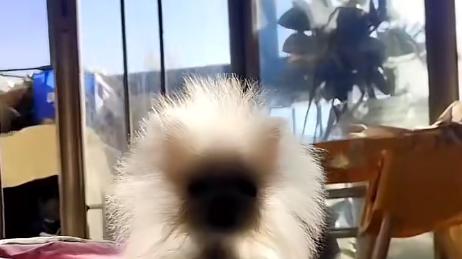 16个让人爆笑的瞬间，拯救你的不开心！