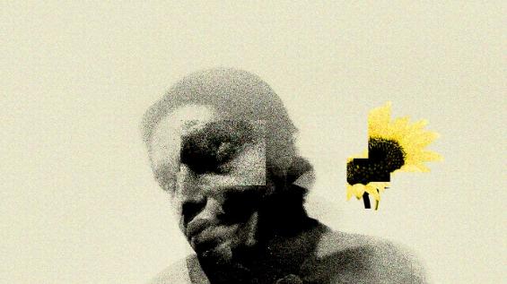 索尼世界摄影奖2025获奖作品（9）