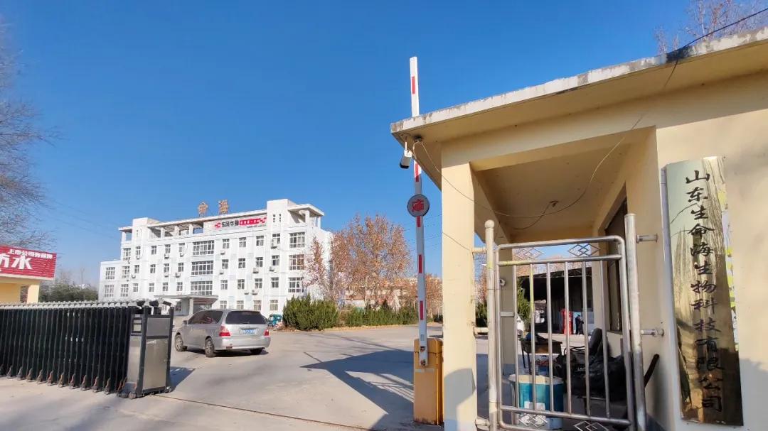 记录德州：探秘德州知名面粉巨嘴鸟厂区的现状