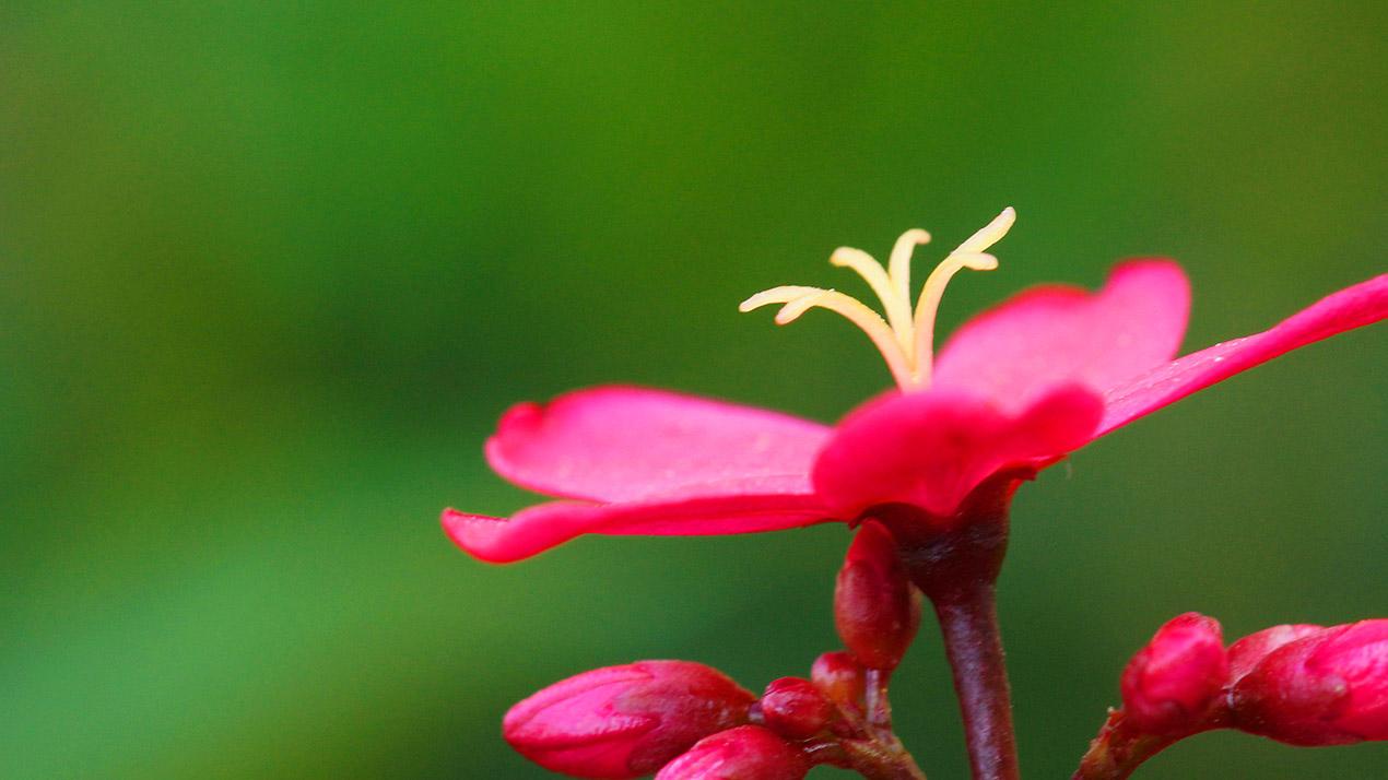 人这一生，最大的贵人，从来不是别人