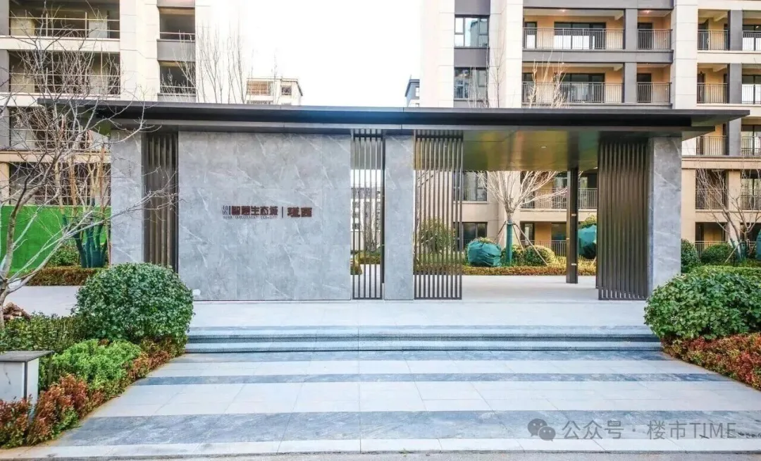 “日光盘”再现！政府直接下场，青岛这波操作有点猛！