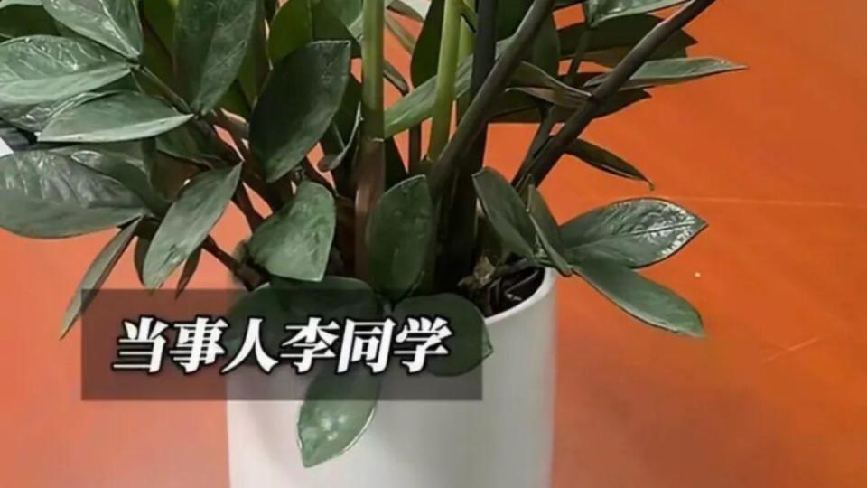 ‌19岁大学生立遗嘱，两千万全给发小：他什么都有，就是没有家
