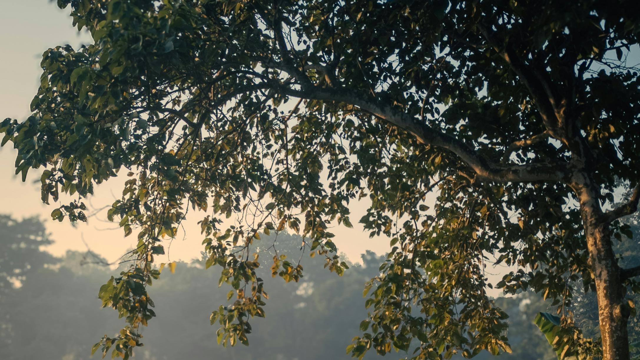 人生没有逆行道：往哪走，都是前