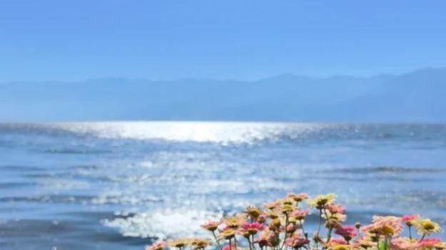 风过双廊，景入苍洱：把大理的诗意，写在山水间