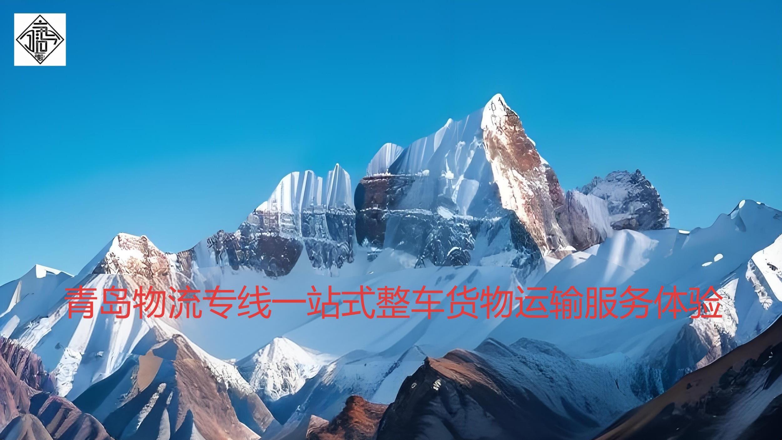 《跨越千里的“颗粒”保卫战：沈阳到青岛，他凭什么把物流“盲盒”变成“定心丸”？》