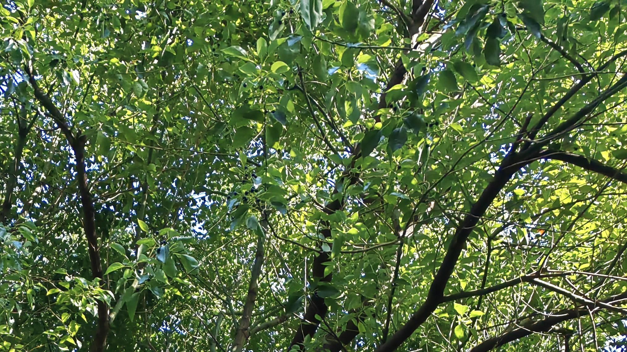 职场真相：我就是想被认可，你呢？