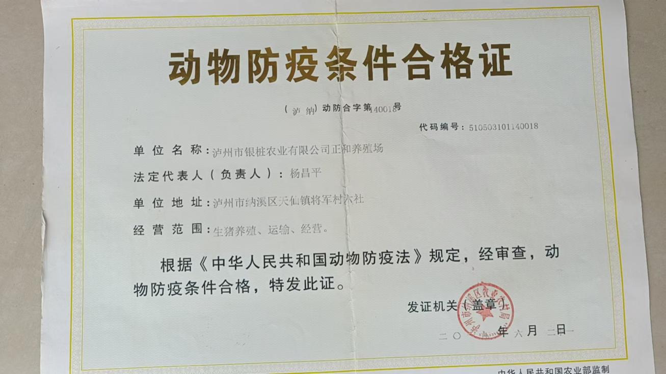 同人同地不同命？泸州养殖户：两个猪场为何待遇天差地别
