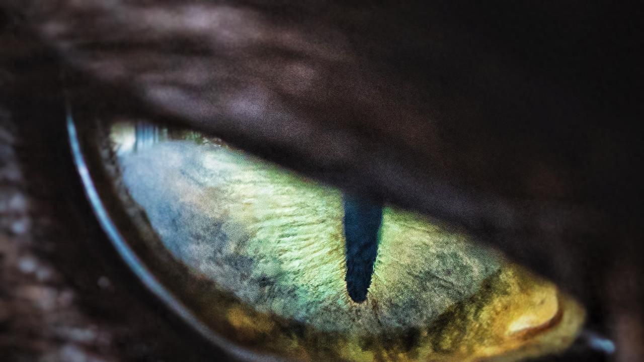 让自己城府越来越深的59个好习惯，照做的人早已悄悄受益