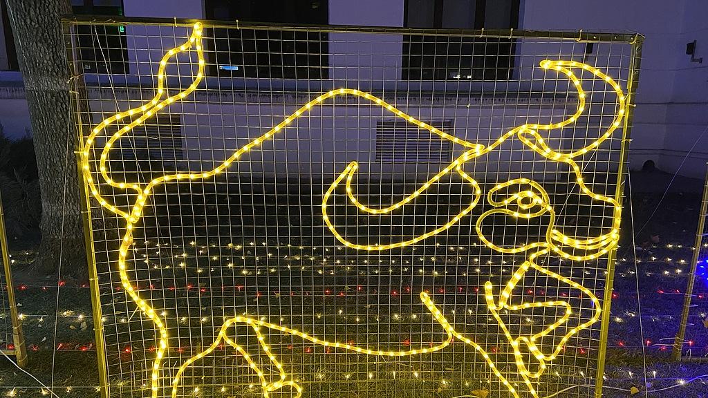 2026年星座运势金牛座