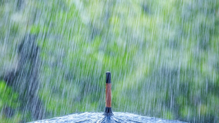 DX-YTR-1 型雨量监测（简易）预警设备