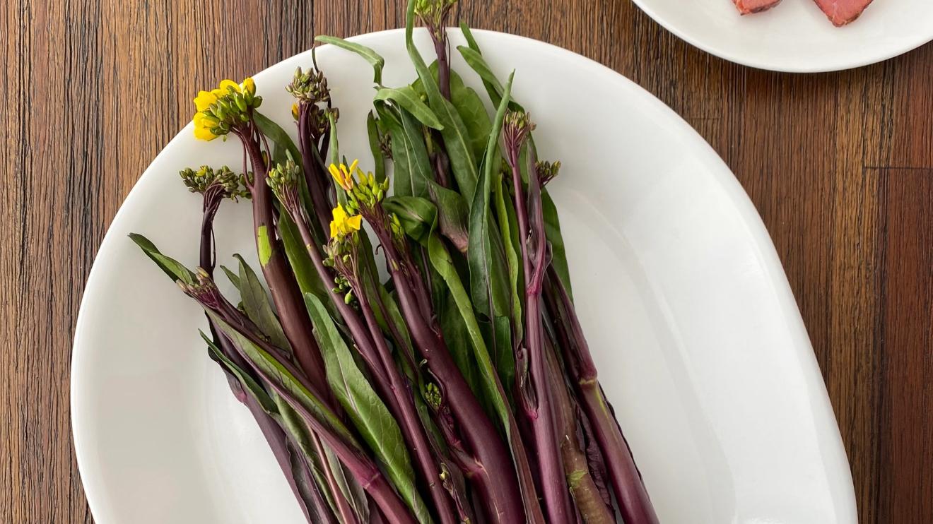 菜苔里的“紫色浪漫”