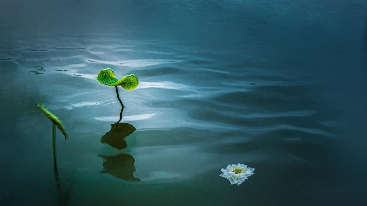 人生崛起靠大运：5个大运要来了的征兆，不可不信！