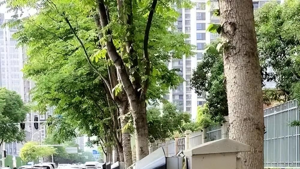 千亿投入打水漂？比亚迪把快充做到加油级，却败给低素质车主