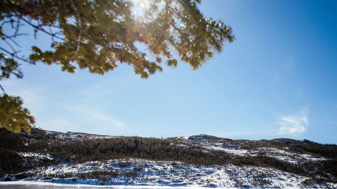 噗通：跃入17摄氏度以下的冬泳江湖