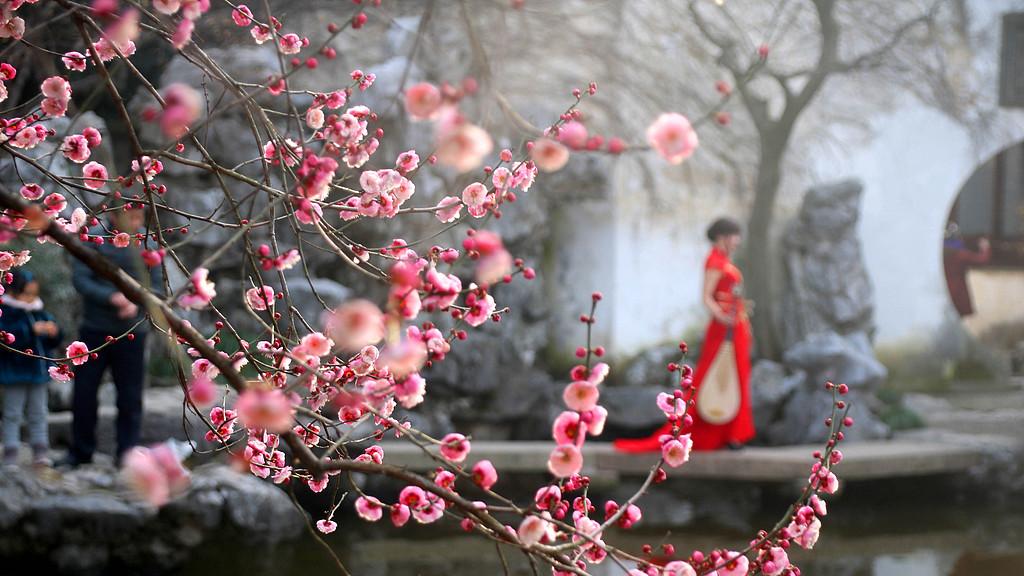 关于岁寒三友，你了解多少呢？