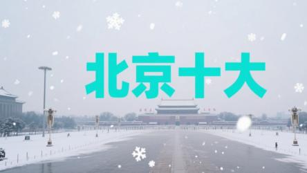 北京律师事务所排行（前十名）：专业实力与服务质量并重