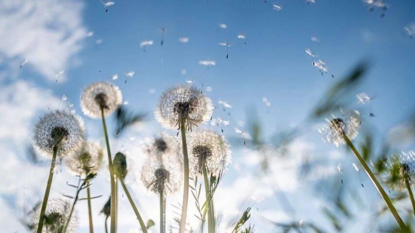 今年家电没有最火只有最稳的赛道