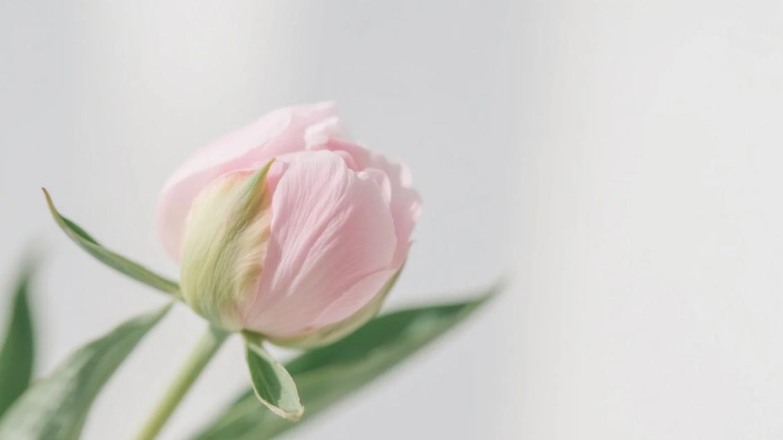 人生三重境界：弱时慕强，强时慕真，醒时慕空