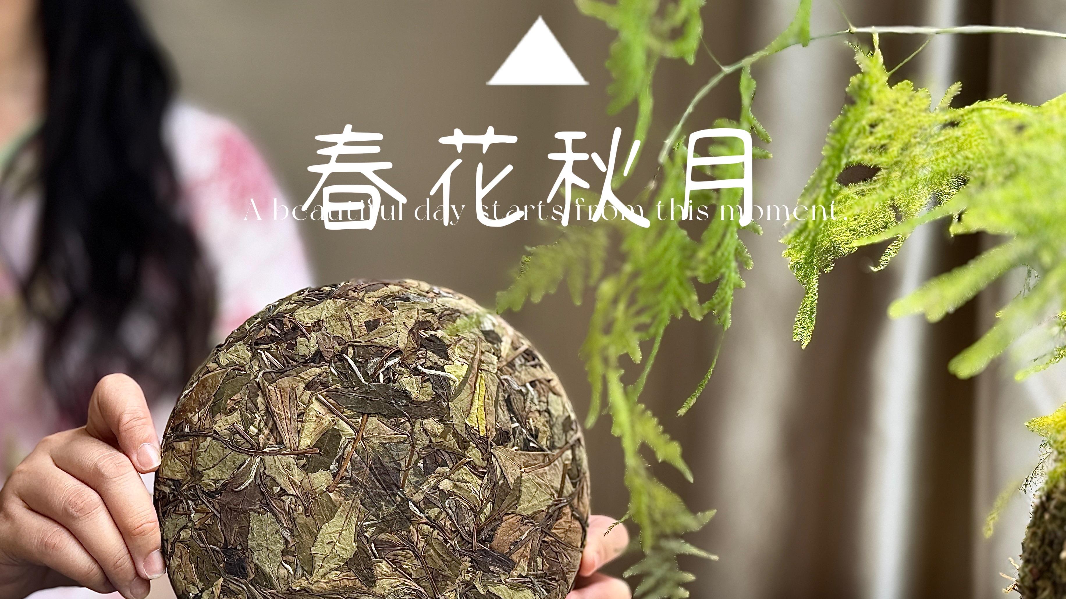 老白茶应该是什么颜色，村姑陈一眼鉴假，原来方法这么简单！