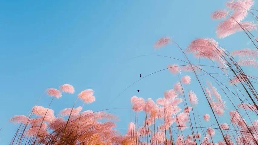 今年家电线下实体店将迎新活法