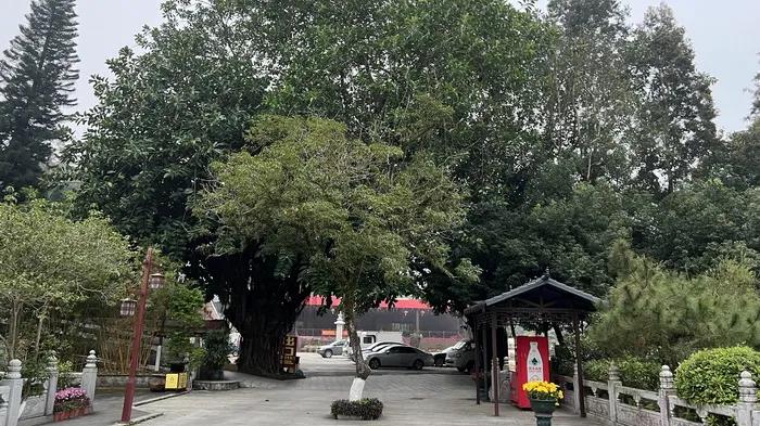 《迭学》精准戳中了思想体系的“理性边界”命题，恰恰是通过“用经”为这种宏大体系装上了“实践的刹车”