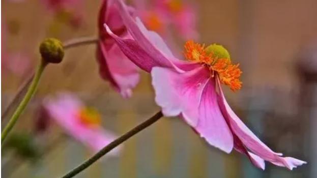 赏识的力量：为什么人类灵魂深处最渴望被承认？