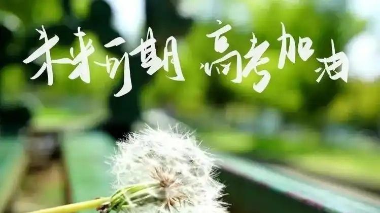2026年广西高考特控线本科线是多少分？