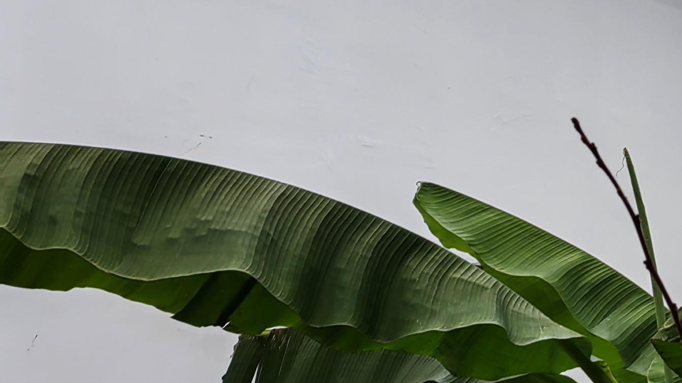 人在职场：什么样的劝，值得听？