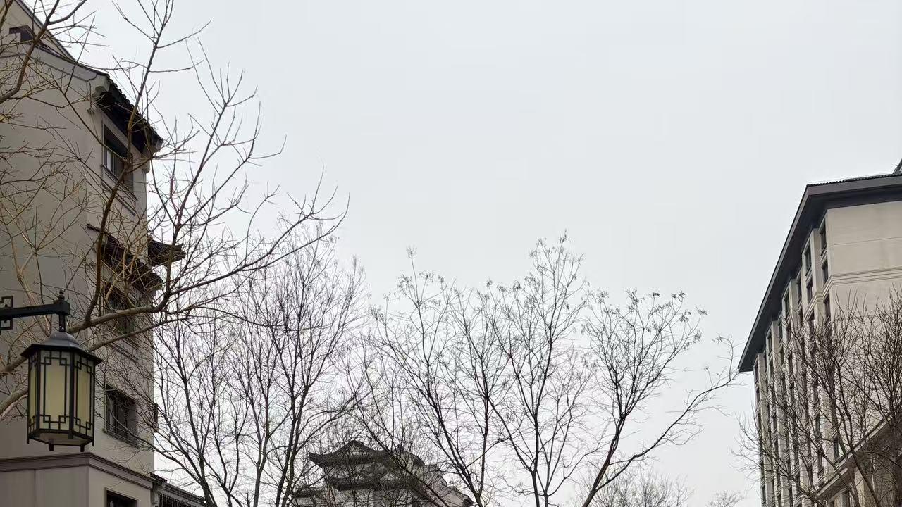 2026年每日通盛及各生肖运势3月23日