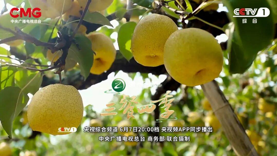 《三餐四季》安徽篇：楚风淮水，皆是徽菜至味