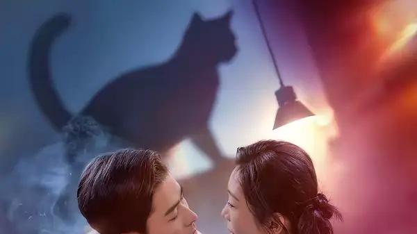 《猫夫的诱惑》甜撩碰撞，奇幻剧情、苏感爆棚