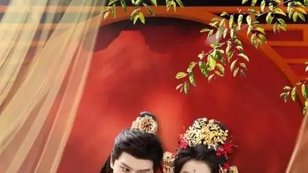 《醉卧美人膝》权谋爱恋交织，情仇反转超带感