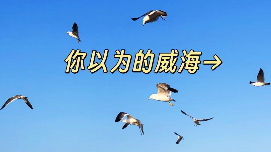 3月份-4月份威海旅行，景点打卡