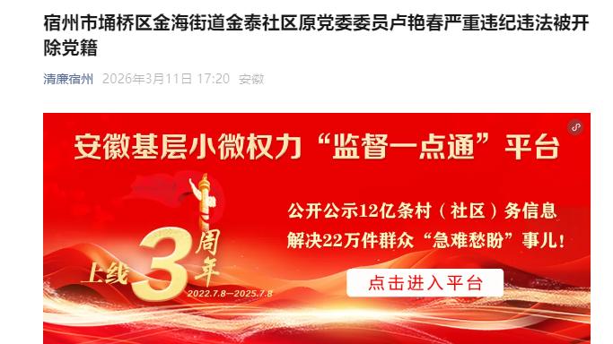 安徽省宿州市埇桥区金海街道金泰社区原党委委员卢艳春被查，赋史记·卢艳春列传