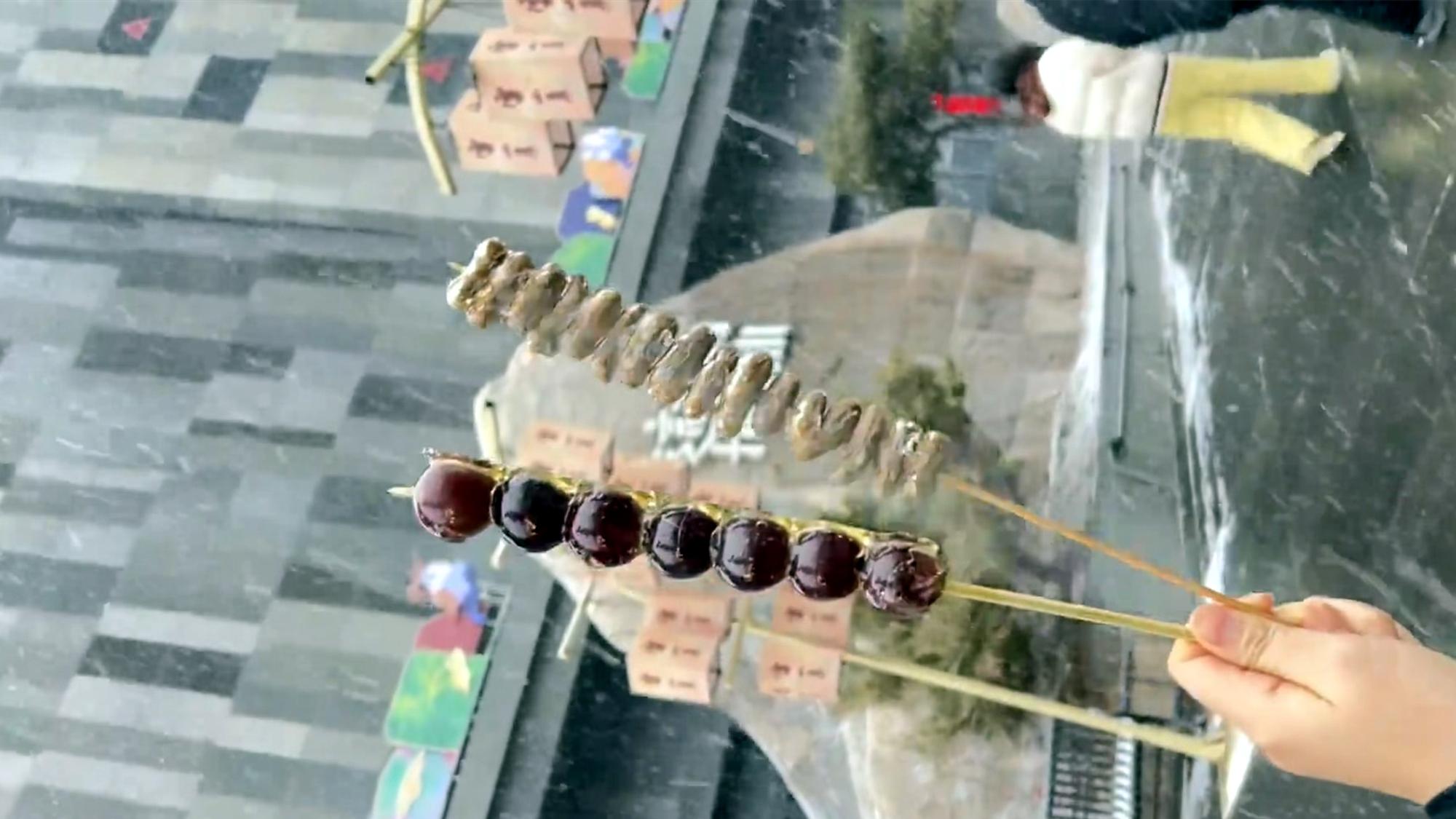 智趣烈马踏雪而行，长春净月湖一日游