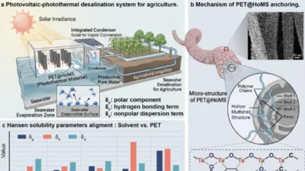 我国成功研发纳米颗粒编织三维结构光热蒸发材料 实现高效太阳能海水淡化
